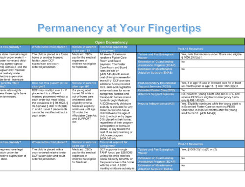 Permanency at Your Fingertips