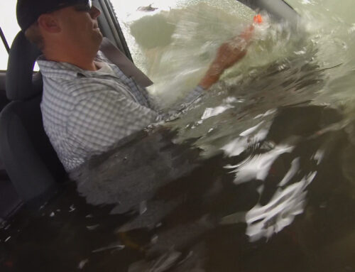 FLOOD WATER AND ESCAPE FROM A VEHICLE
