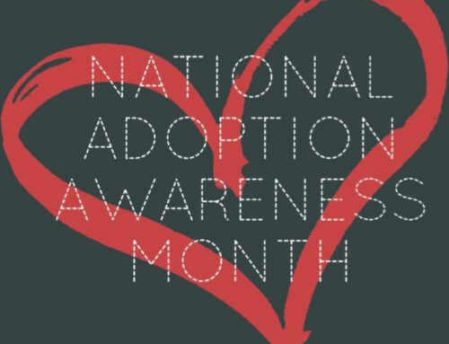 Celebrating National Adoption Month with Children’s Network of Southwest Florida